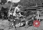 Image ranch United States USA, 1922, de la seconde 38 séquences d'archives historiques vidéo 65675072781