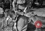 Image ranch United States USA, 1922, de la seconde 39 séquences d'archives historiques vidéo 65675072781