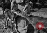 Image ranch United States USA, 1922, de la seconde 41 séquences d'archives historiques vidéo 65675072781