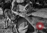 Image ranch United States USA, 1922, de la seconde 42 séquences d'archives historiques vidéo 65675072781