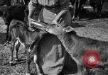 Image ranch United States USA, 1922, de la seconde 43 séquences d'archives historiques vidéo 65675072781