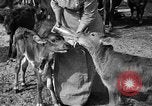 Image ranch United States USA, 1922, de la seconde 44 séquences d'archives historiques vidéo 65675072781