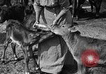 Image ranch United States USA, 1922, de la seconde 45 séquences d'archives historiques vidéo 65675072781
