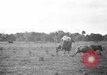 Image ranch United States USA, 1922, de la seconde 13 séquences d'archives historiques vidéo 65675072782