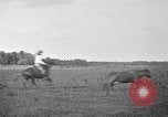 Image ranch United States USA, 1922, de la seconde 15 séquences d'archives historiques vidéo 65675072782
