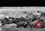 Image ranch United States USA, 1922, de la seconde 29 séquences d'archives historiques vidéo 65675072782