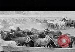 Image ranch United States USA, 1922, de la seconde 30 séquences d'archives historiques vidéo 65675072782