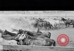 Image ranch United States USA, 1922, de la seconde 32 séquences d'archives historiques vidéo 65675072782
