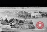 Image ranch United States USA, 1922, de la seconde 33 séquences d'archives historiques vidéo 65675072782