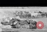 Image ranch United States USA, 1922, de la seconde 34 séquences d'archives historiques vidéo 65675072782
