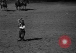 Image cowboy United States USA, 1922, de la seconde 41 séquences d'archives historiques vidéo 65675072783