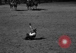 Image cowboy United States USA, 1922, de la seconde 45 séquences d'archives historiques vidéo 65675072783