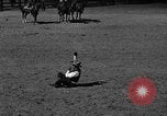 Image cowboy United States USA, 1922, de la seconde 46 séquences d'archives historiques vidéo 65675072783