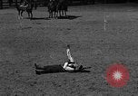 Image cowboy United States USA, 1922, de la seconde 48 séquences d'archives historiques vidéo 65675072783