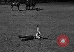 Image cowboy United States USA, 1922, de la seconde 51 séquences d'archives historiques vidéo 65675072783