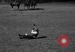 Image cowboy United States USA, 1922, de la seconde 52 séquences d'archives historiques vidéo 65675072783