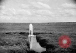 Image ranch United States USA, 1922, de la seconde 28 séquences d'archives historiques vidéo 65675072784