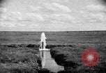 Image ranch United States USA, 1922, de la seconde 29 séquences d'archives historiques vidéo 65675072784