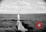 Image ranch United States USA, 1922, de la seconde 31 séquences d'archives historiques vidéo 65675072784