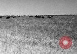 Image ranch United States USA, 1922, de la seconde 42 séquences d'archives historiques vidéo 65675072784
