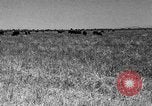 Image ranch United States USA, 1922, de la seconde 43 séquences d'archives historiques vidéo 65675072784