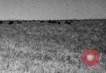 Image ranch United States USA, 1922, de la seconde 44 séquences d'archives historiques vidéo 65675072784