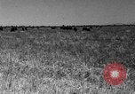 Image ranch United States USA, 1922, de la seconde 45 séquences d'archives historiques vidéo 65675072784