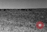 Image ranch United States USA, 1922, de la seconde 46 séquences d'archives historiques vidéo 65675072784