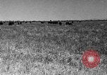 Image ranch United States USA, 1922, de la seconde 47 séquences d'archives historiques vidéo 65675072784