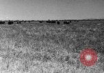 Image ranch United States USA, 1922, de la seconde 48 séquences d'archives historiques vidéo 65675072784