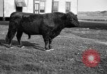 Image ranch United States USA, 1922, de la seconde 12 séquences d'archives historiques vidéo 65675072785