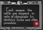 Image ranch United States USA, 1922, de la seconde 18 séquences d'archives historiques vidéo 65675072785