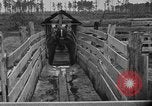 Image ranch United States USA, 1922, de la seconde 27 séquences d'archives historiques vidéo 65675072785