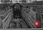 Image ranch United States USA, 1922, de la seconde 28 séquences d'archives historiques vidéo 65675072785