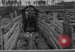 Image ranch United States USA, 1922, de la seconde 29 séquences d'archives historiques vidéo 65675072785