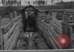 Image ranch United States USA, 1922, de la seconde 30 séquences d'archives historiques vidéo 65675072785