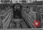 Image ranch United States USA, 1922, de la seconde 31 séquences d'archives historiques vidéo 65675072785
