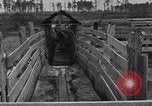 Image ranch United States USA, 1922, de la seconde 32 séquences d'archives historiques vidéo 65675072785