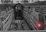 Image ranch United States USA, 1922, de la seconde 33 séquences d'archives historiques vidéo 65675072785
