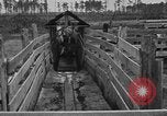 Image ranch United States USA, 1922, de la seconde 34 séquences d'archives historiques vidéo 65675072785