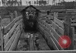 Image ranch United States USA, 1922, de la seconde 36 séquences d'archives historiques vidéo 65675072785