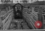 Image ranch United States USA, 1922, de la seconde 37 séquences d'archives historiques vidéo 65675072785