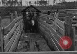 Image ranch United States USA, 1922, de la seconde 39 séquences d'archives historiques vidéo 65675072785
