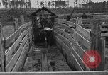Image ranch United States USA, 1922, de la seconde 40 séquences d'archives historiques vidéo 65675072785
