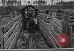 Image ranch United States USA, 1922, de la seconde 41 séquences d'archives historiques vidéo 65675072785