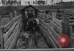 Image ranch United States USA, 1922, de la seconde 42 séquences d'archives historiques vidéo 65675072785