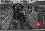 Image ranch United States USA, 1922, de la seconde 43 séquences d'archives historiques vidéo 65675072785