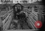 Image ranch United States USA, 1922, de la seconde 44 séquences d'archives historiques vidéo 65675072785