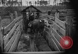 Image ranch United States USA, 1922, de la seconde 45 séquences d'archives historiques vidéo 65675072785