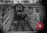 Image ranch United States USA, 1922, de la seconde 46 séquences d'archives historiques vidéo 65675072785